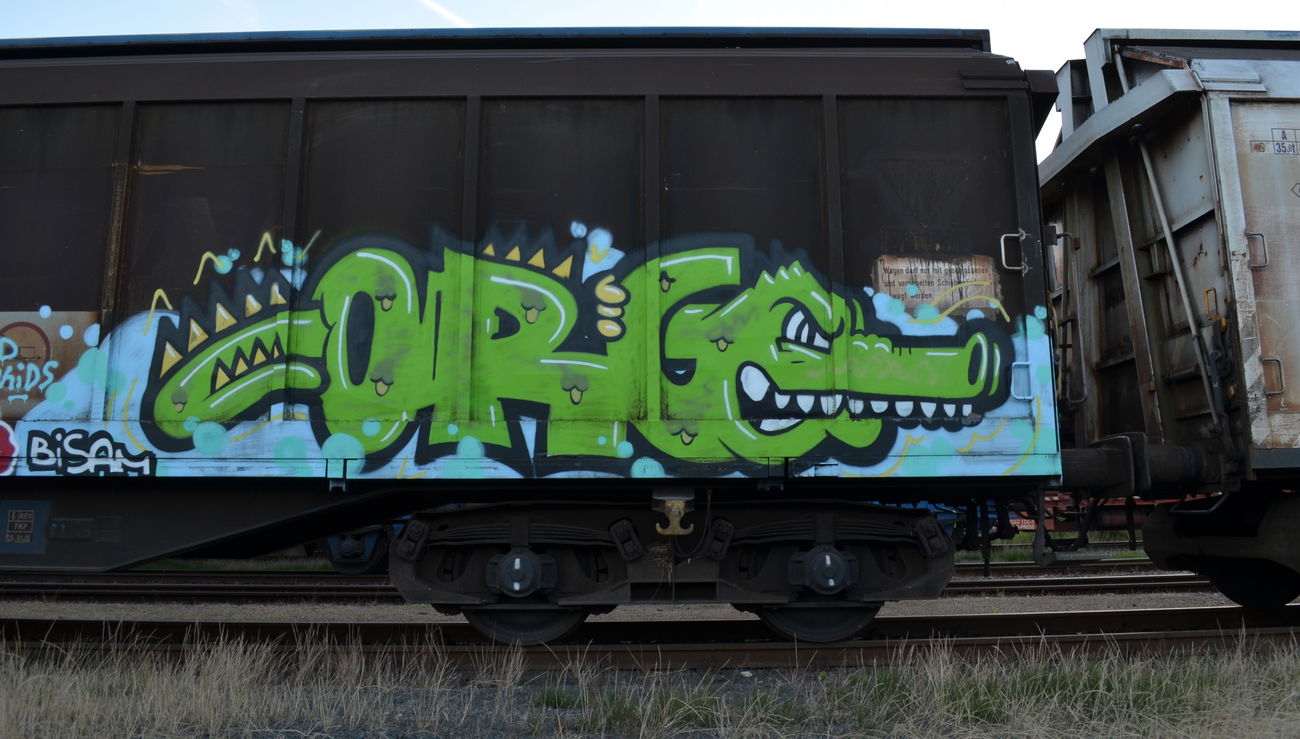 Graffiti Train - Photo by Hall3rOT - ORG, BISAM