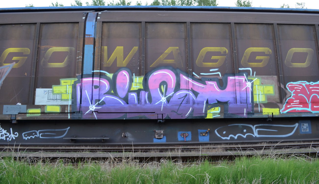 Graffiti Train - Photo by Hall3rOT - BISAM