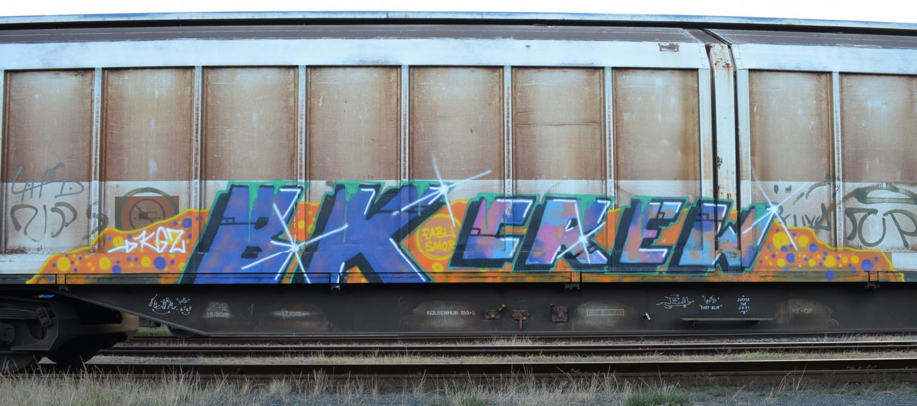 Graffiti Train - Photo by Hall3rOT - BK, CREW