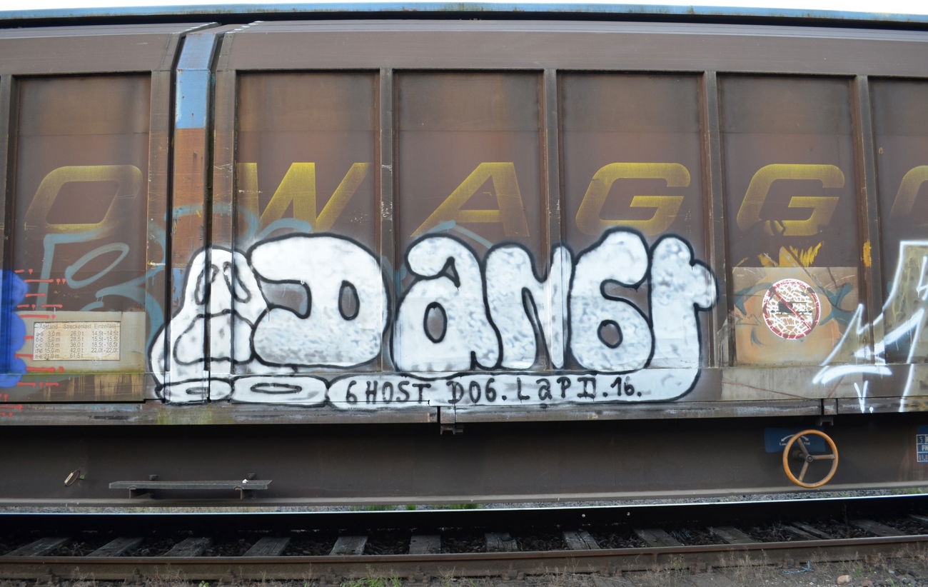 Graffiti Train - Photo by Hall3rOT - DANGR