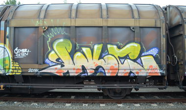 Graffiti Train - Photo by Hall3rOT - WLC, CREW (2015)