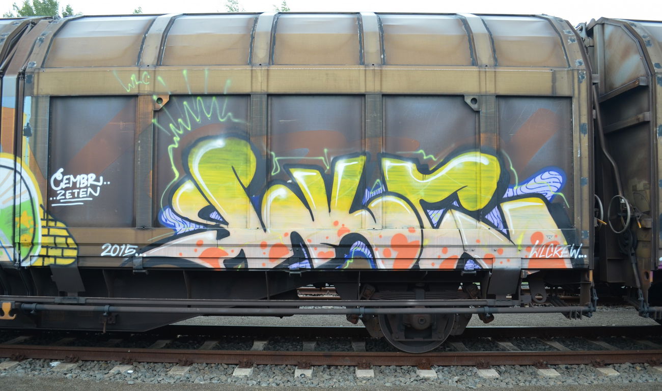 Graffiti Train - Photo by Hall3rOT - WLC, CREW (2015)