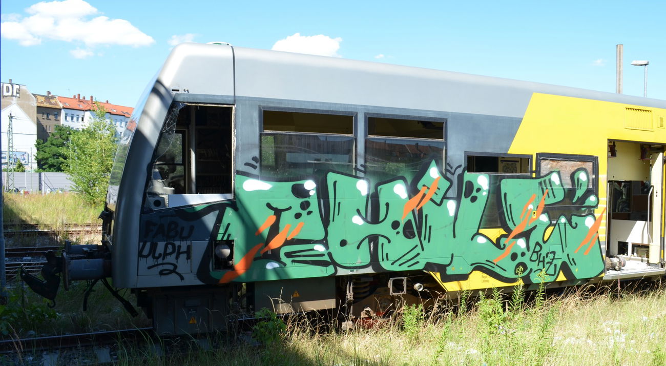 Graffiti Train - Photo by Hall3rOT - CHILE