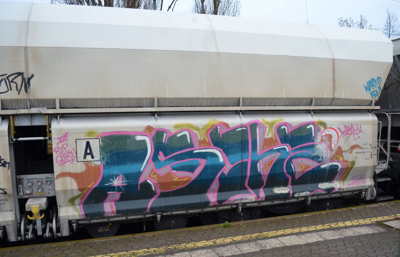 Graffiti Train - Photo by Hall3rOT