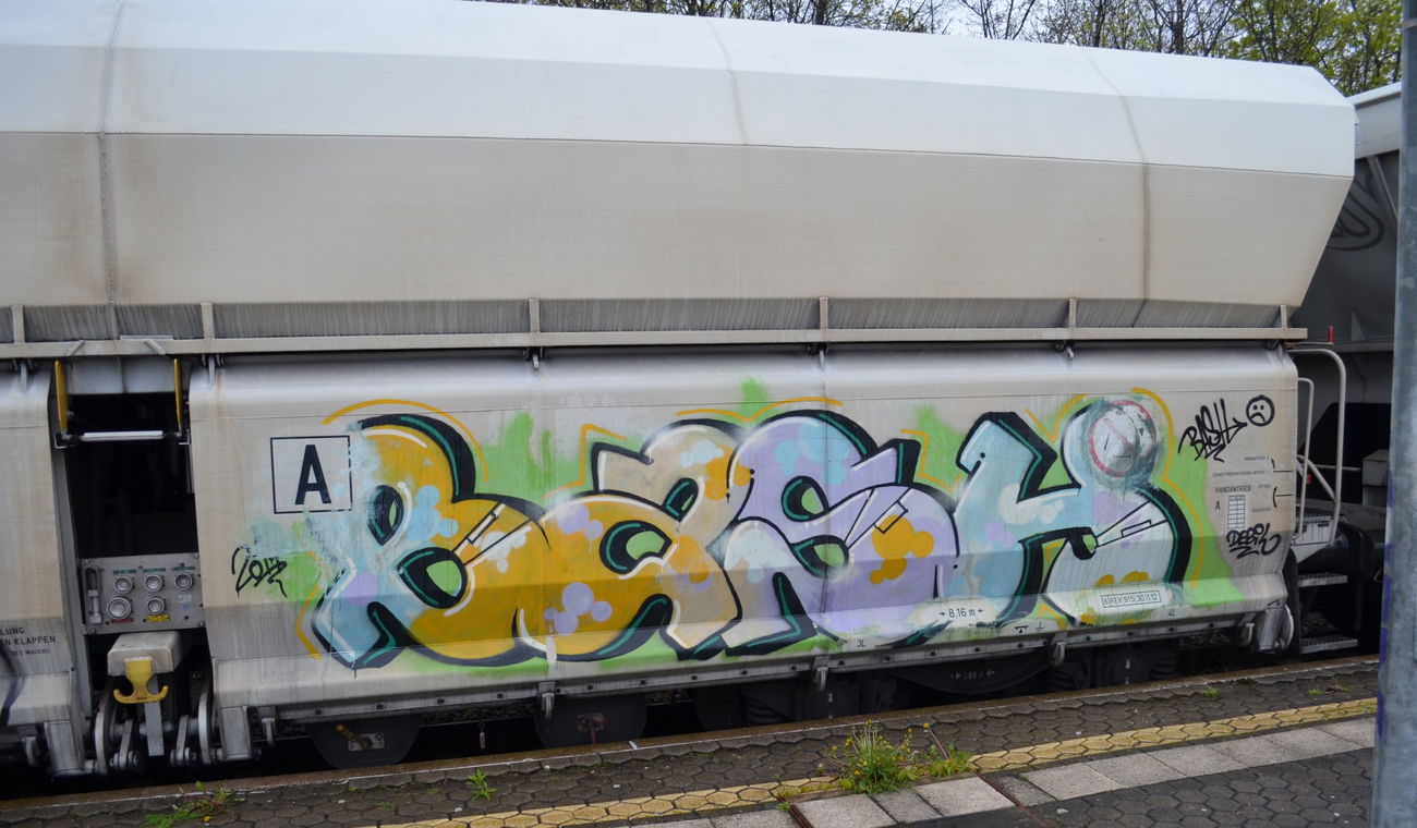 Graffiti Train - Photo by Hall3rOT - BASH