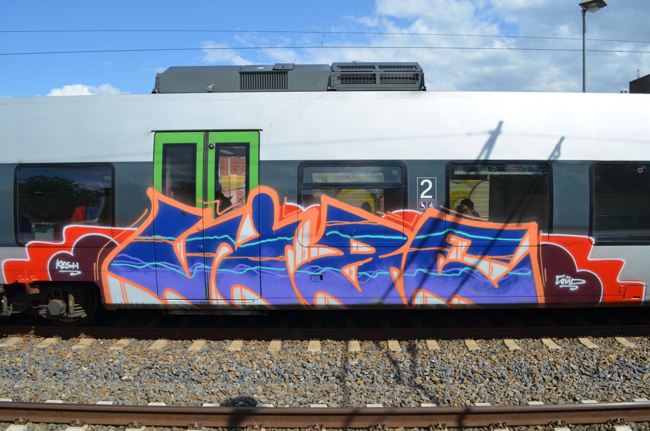 Graffiti Train - Photo by Hall3rOT - VIZE, KESH, SÜD (2015)
