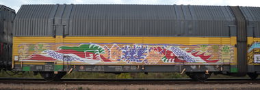Graffiti Train - Photo by Hall3rOT