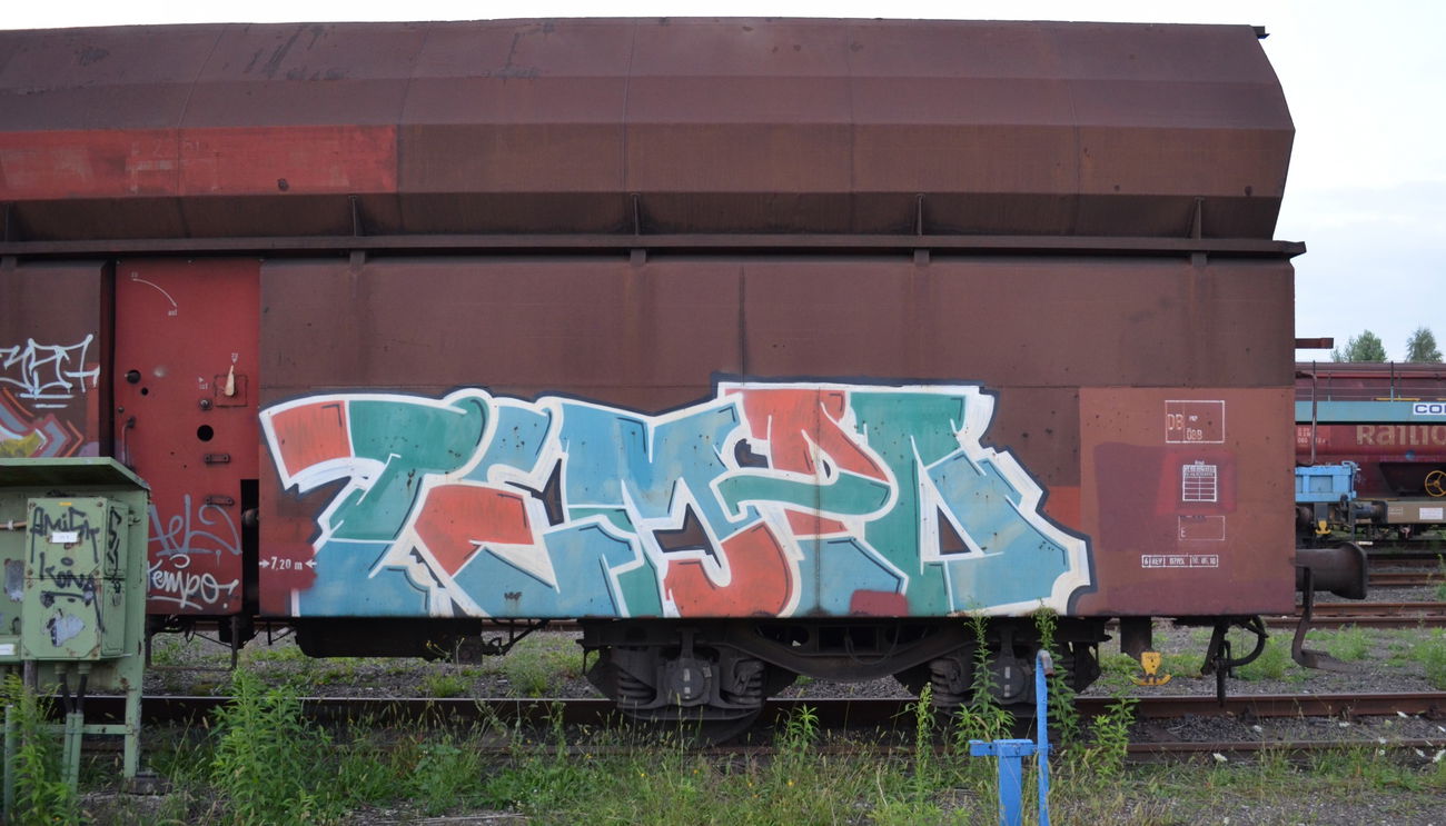 Graffiti Train - Photo by Hall3rOT - TEMPO