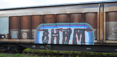 Graffiti Photo by Hall3rOT - SHEM, LAPD (2016)