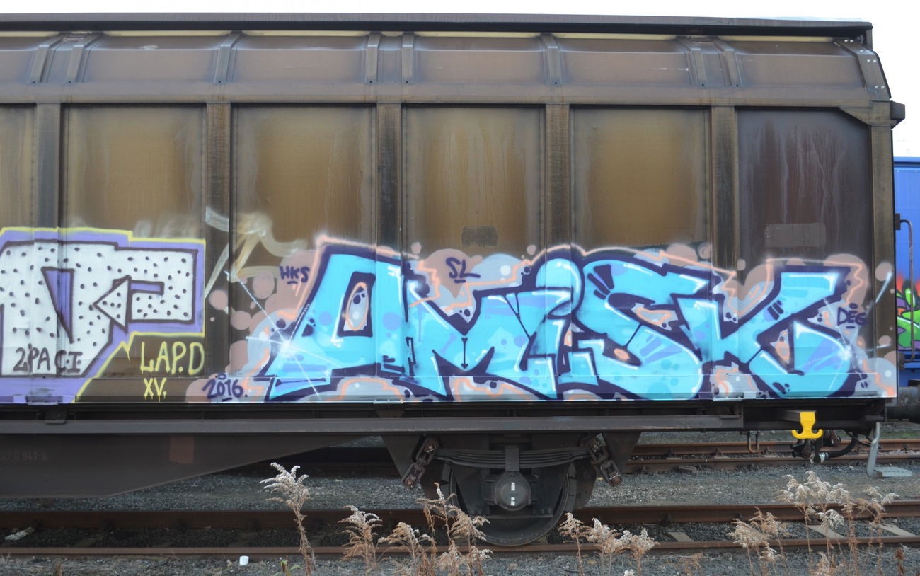 Graffiti Train - Photo by Hall3rOT - AMISK (2016)