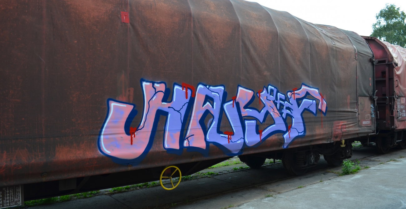 Graffiti Train - Photo by Hall3rOT - HAYF