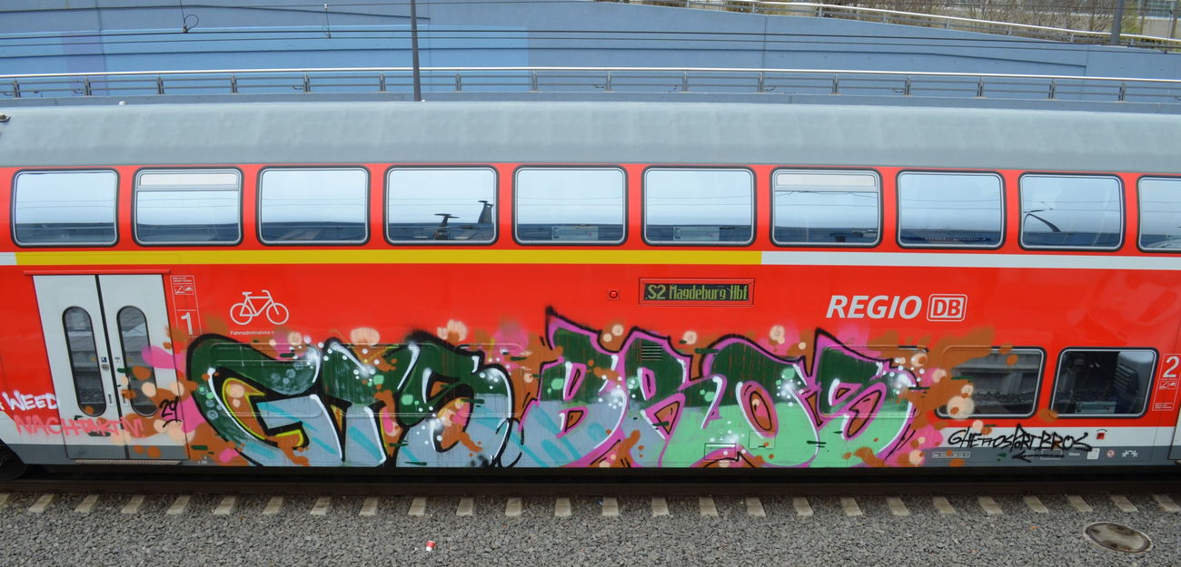 Graffiti Train - Photo by Hall3rOT - GTS, BROS