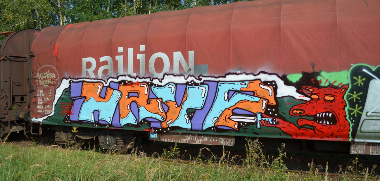 Graffiti Train - Photo by Hall3rOT - HAYF