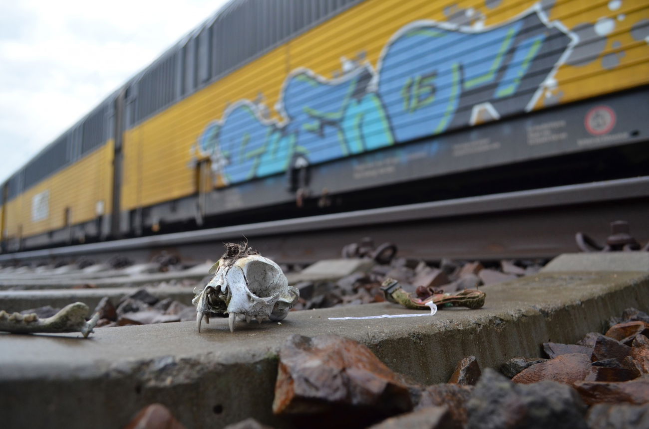 Graffiti Train - Photo by Hall3rOT - BUENO (2015)