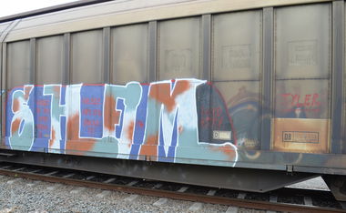 Graffiti Train - Photo by Hall3rOT - SHEIM