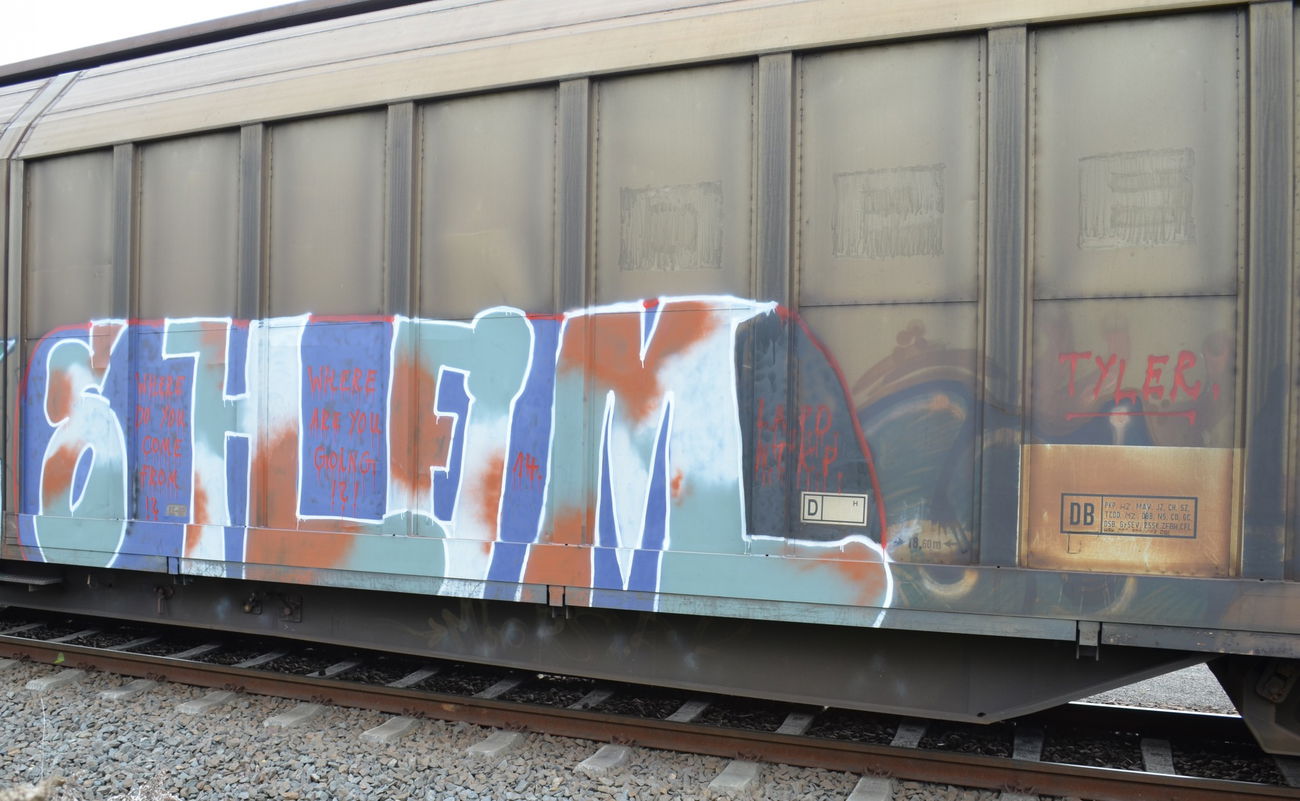 Graffiti Train - Photo by Hall3rOT - SHEIM