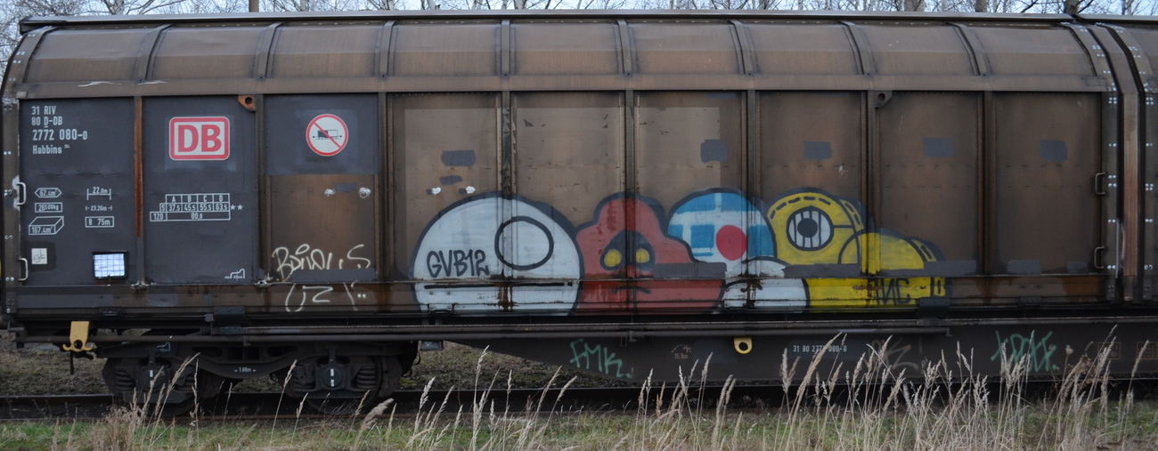 Graffiti Train - Photo by Hall3rOT - OASE
