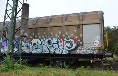 Graffiti Train - Photo by Hall3rOT - GRIP