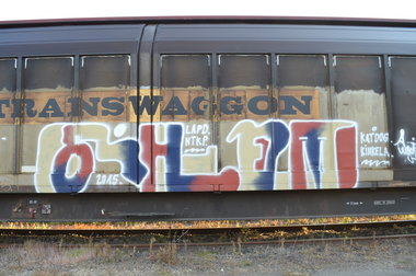 Graffiti Train - Photo by Hall3rOT - SHEM