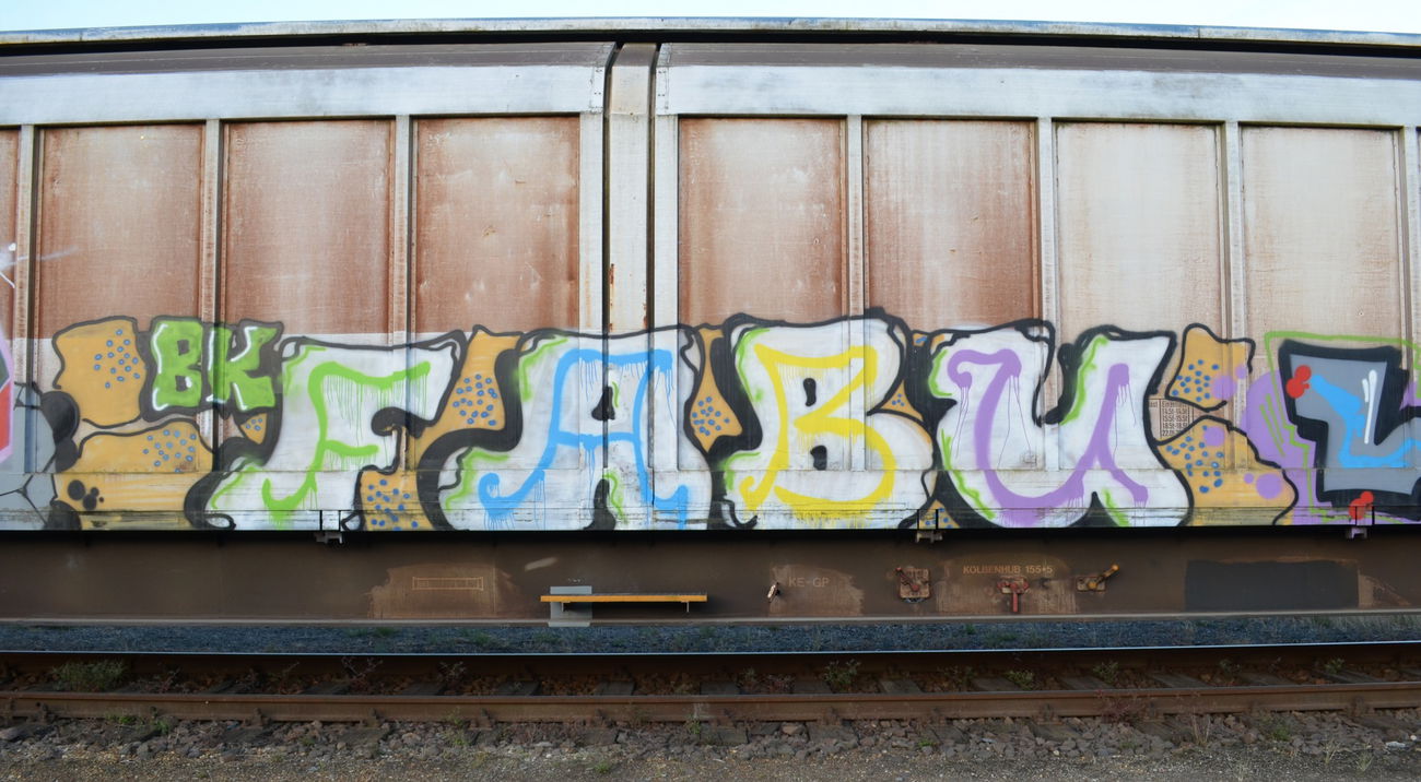 Graffiti Train - Photo by Hall3rOT - FABU, BK