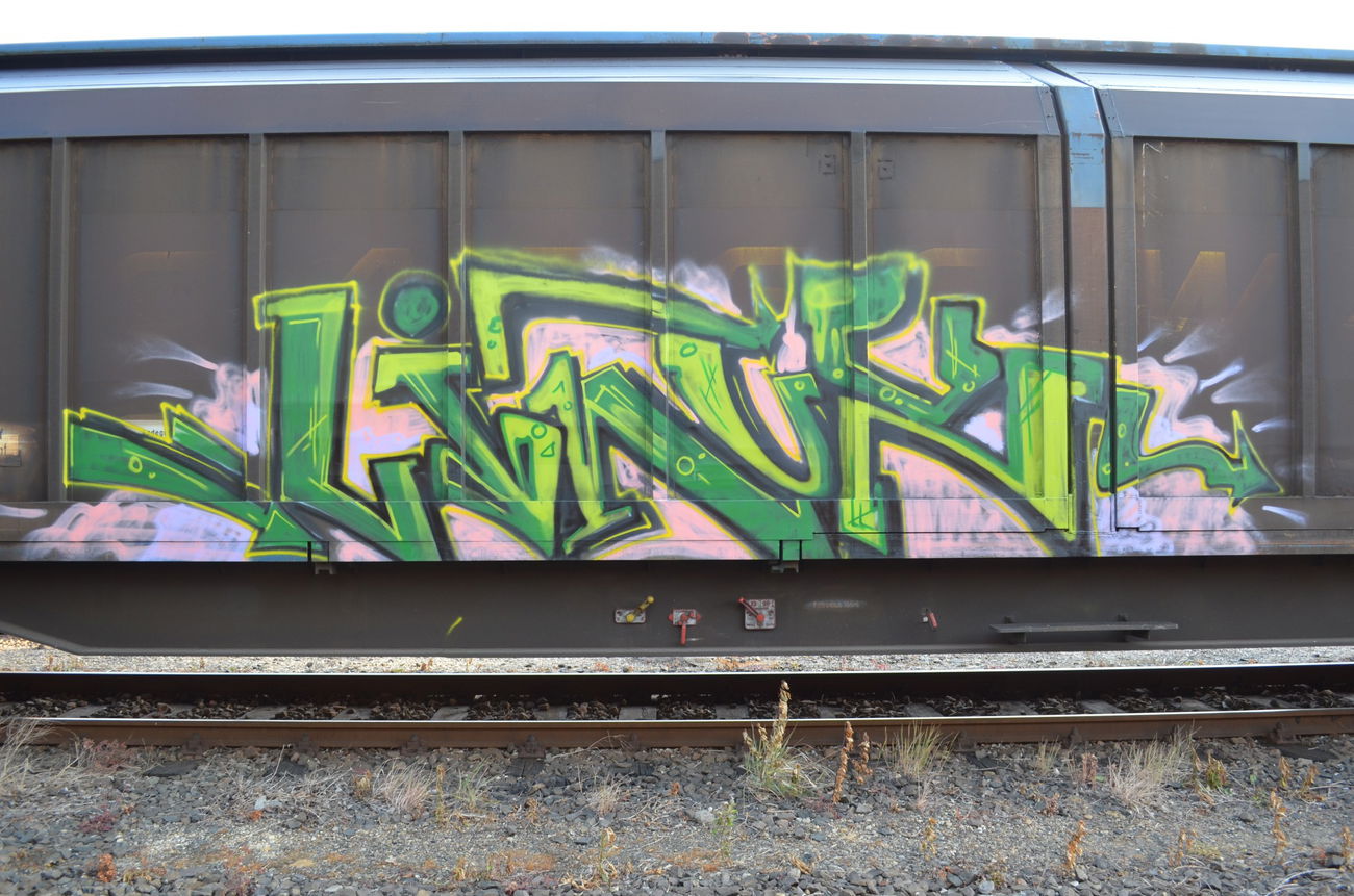 Graffiti Train - Photo by Hall3rOT - LINUX