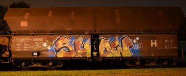Graffiti Train - Photo by Hall3rOT - SHOW (2014)