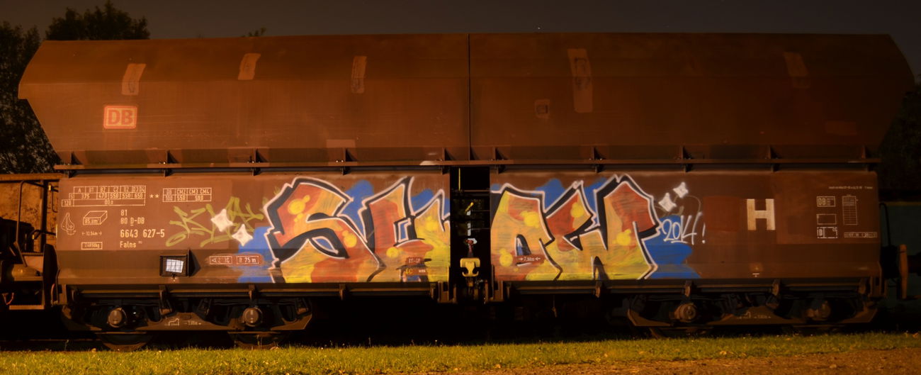 Graffiti Train - Photo by Hall3rOT - SHOW (2014)
