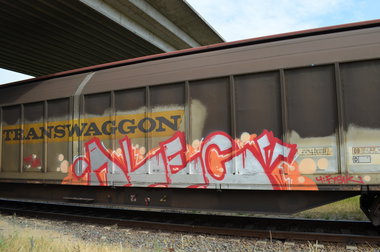 Graffiti Train - Photo by Hall3rOT - ALEC