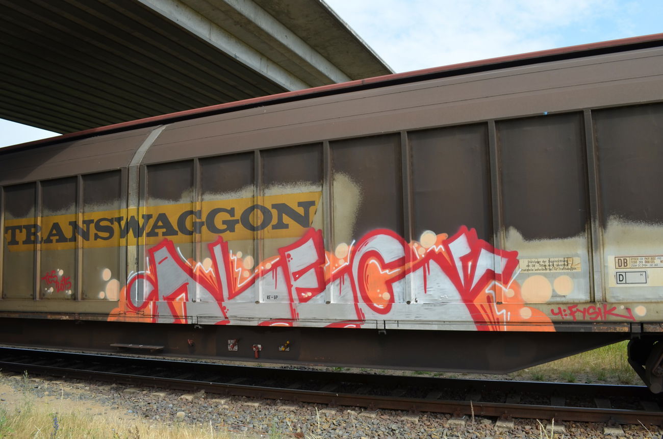 Graffiti Train - Photo by Hall3rOT - ALEC