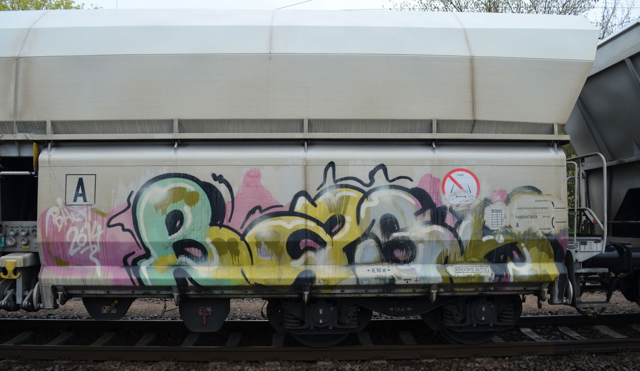 Graffiti Train - Photo by Hall3rOT - BASH