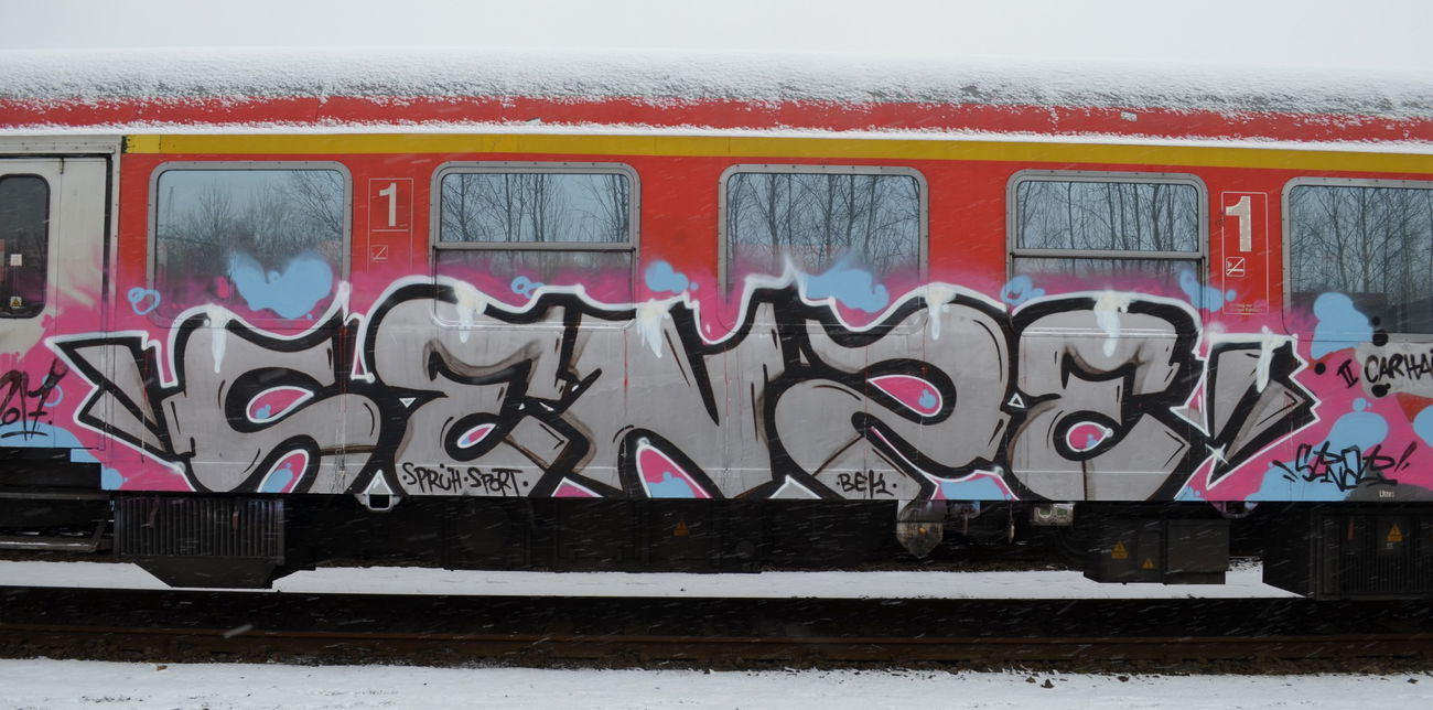 Graffiti Train - Photo by Hall3rOT - SENZE