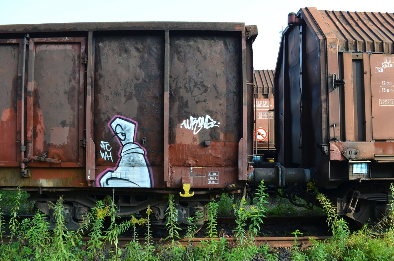 Graffiti Train - Photo by Hall3rOT