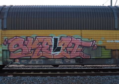 Graffiti Train - Photo by Hall3rOT - SKELET