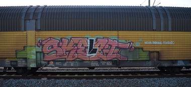 Graffiti Train - Photo by Hall3rOT - SKELET
