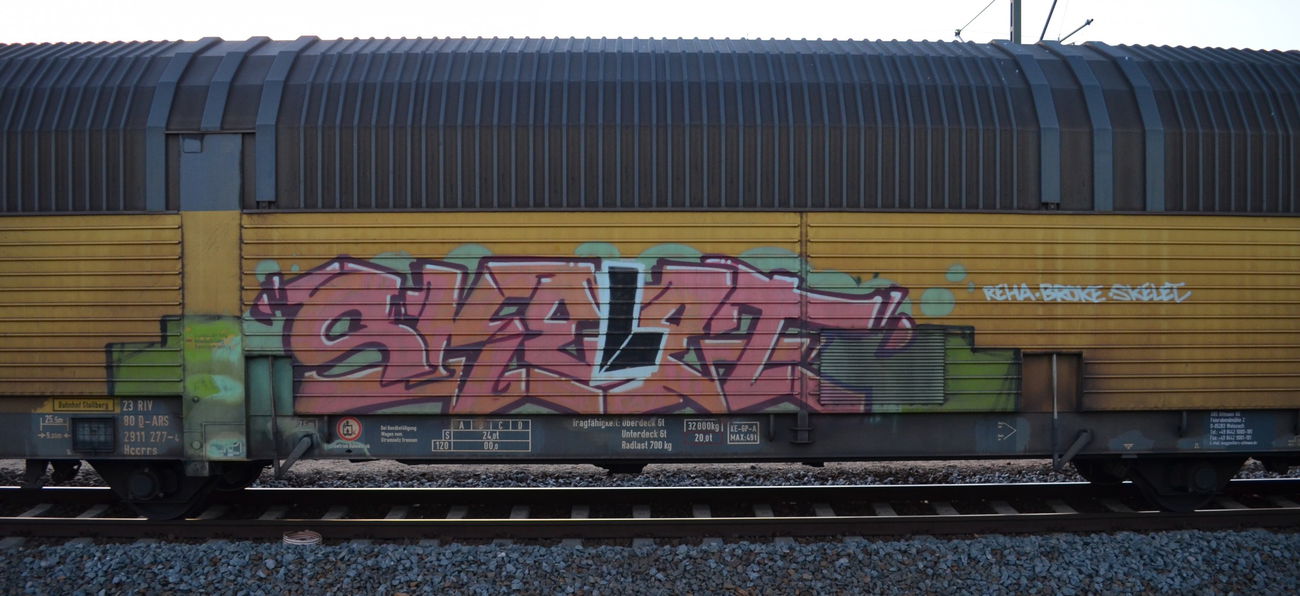Graffiti Train - Photo by Hall3rOT - SKELET