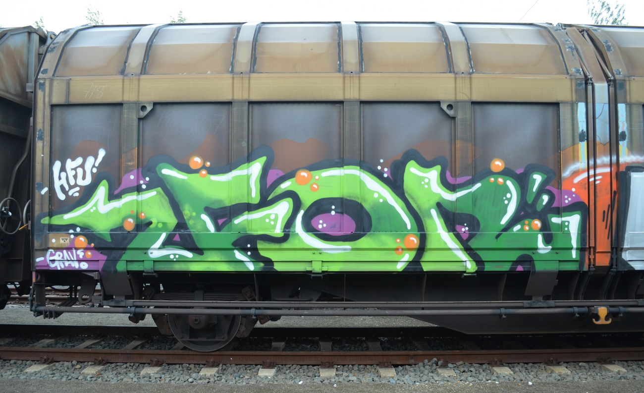 Graffiti Train - Photo by Hall3rOT - FOR, HFU
