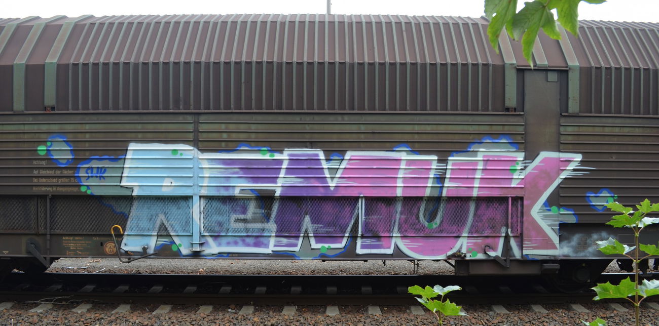 Graffiti Train - Photo by Hall3rOT - REMUK