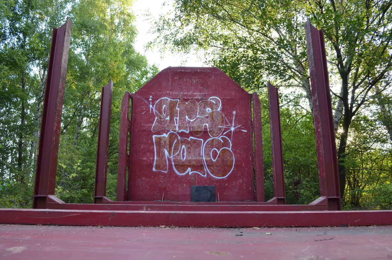 Graffiti Train - Photo by Hall3rOT - GRS, RAC