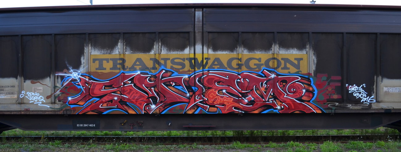 Graffiti Photo by Hall3rOT - STEM, GRS (2016)