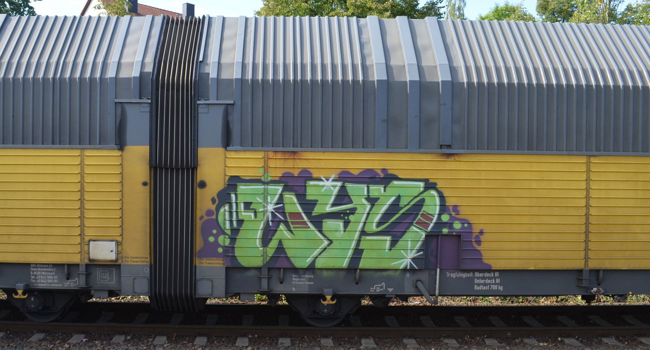 Graffiti Train - Photo by Hall3rOT - WYS