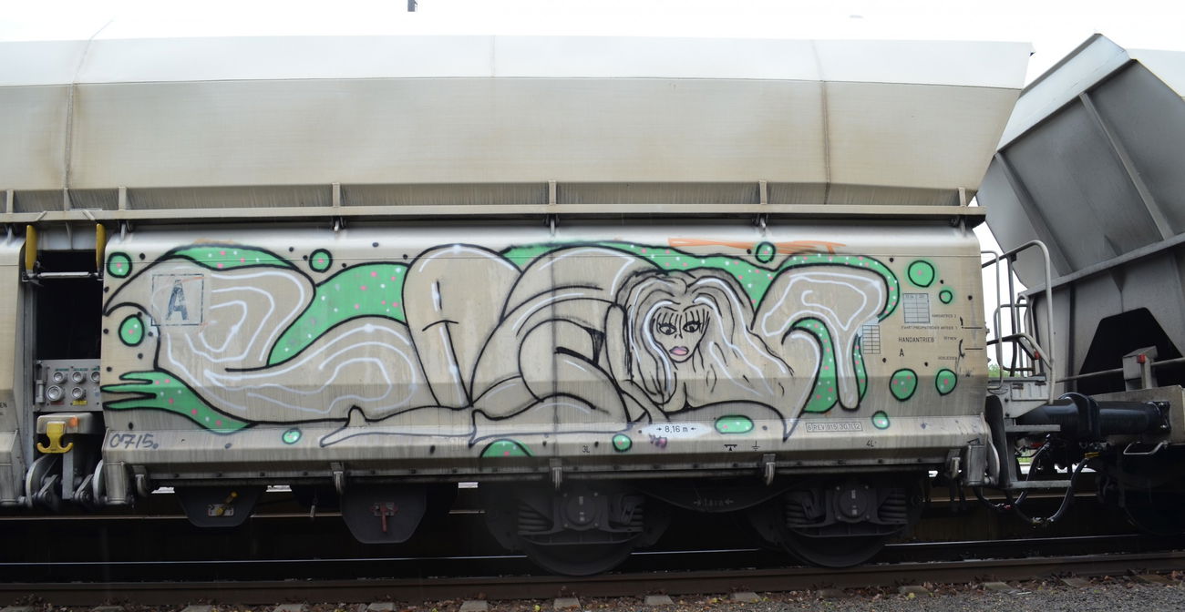 Graffiti Train - Photo by Hall3rOT - FR8