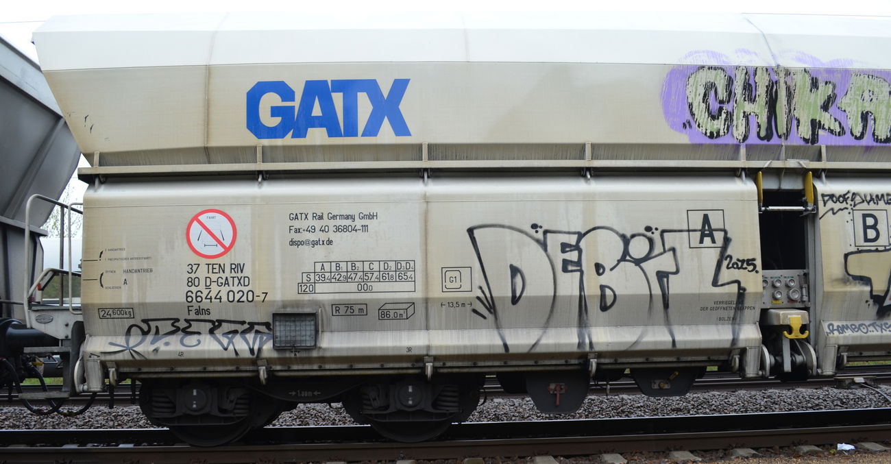 Graffiti Train - Photo by Hall3rOT - DEBIL