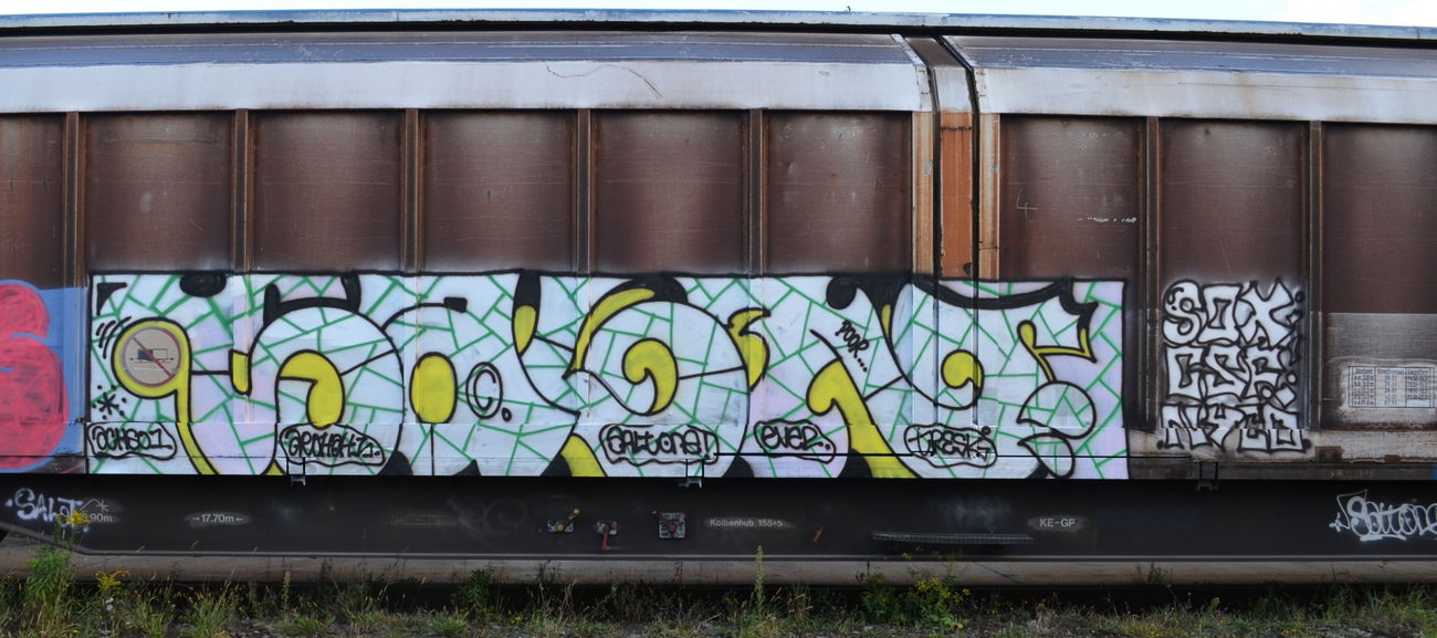 Graffiti Train - Photo by Hall3rOT - SALT, SOX, CSF