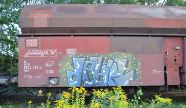 Graffiti Train - Photo by Hall3rOT - DEBIL