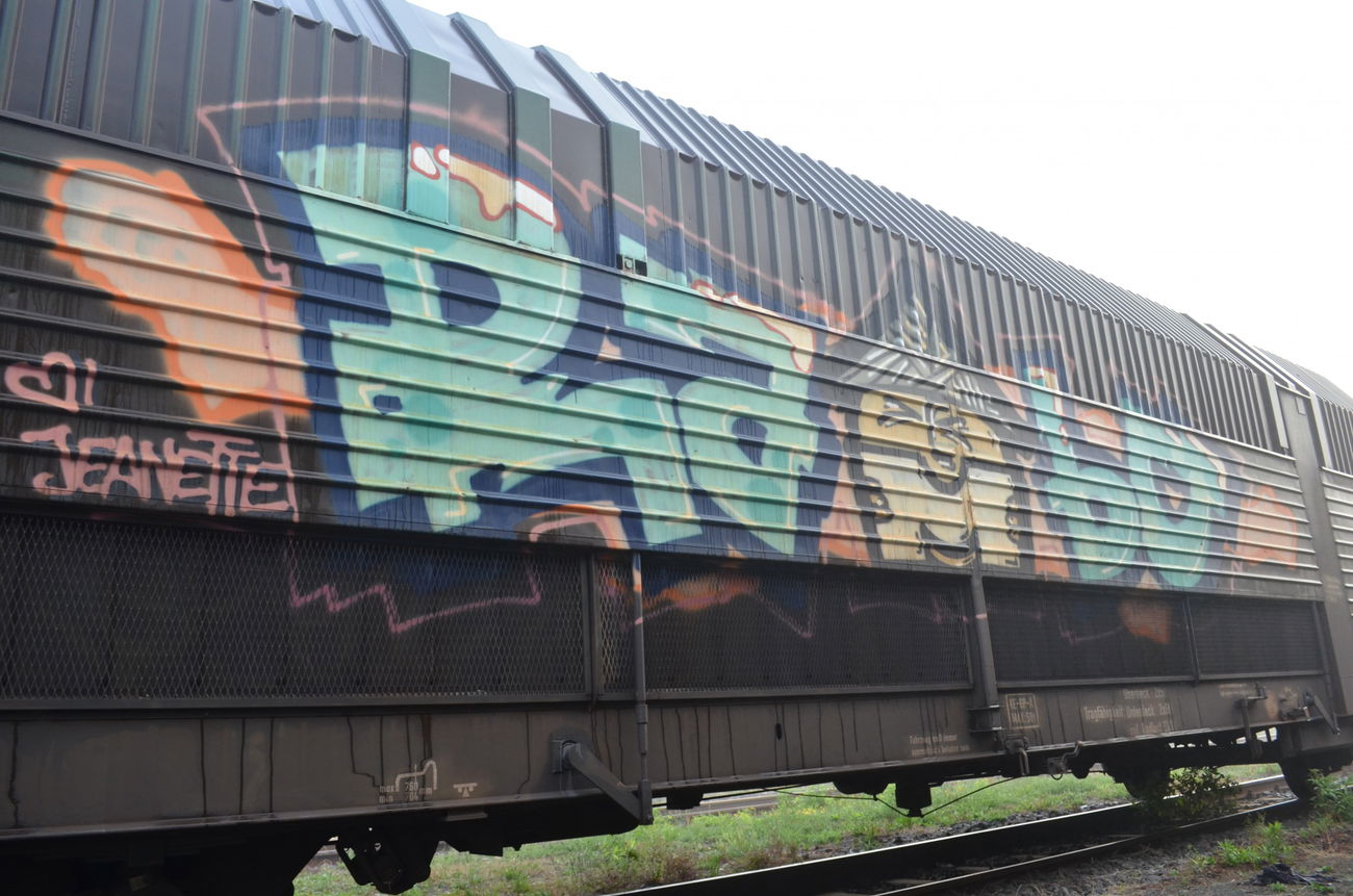 Graffiti Train - Photo by Hall3rOT - RAMBO