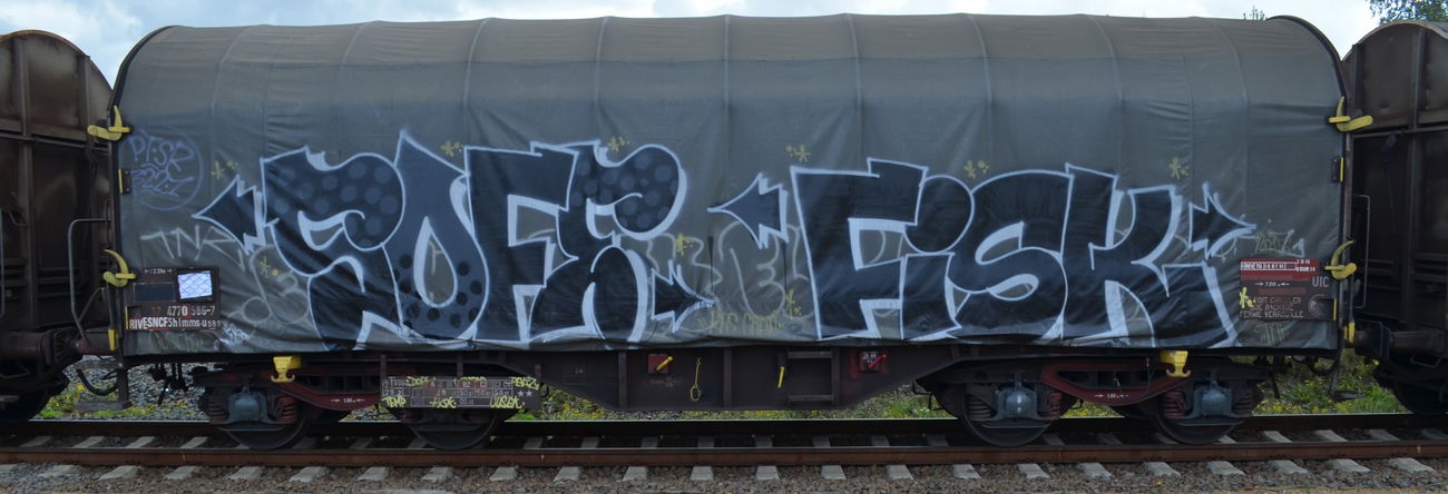 Graffiti Train - Photo by Hall3rOT - SOFE, FISK