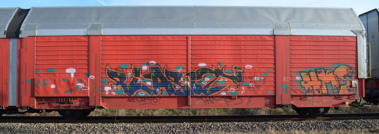 Graffiti Train - Photo by Hall3rOT - PLART, HMS