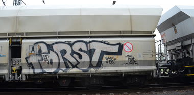 Graffiti Train - Photo by Hall3rOT - FORST
