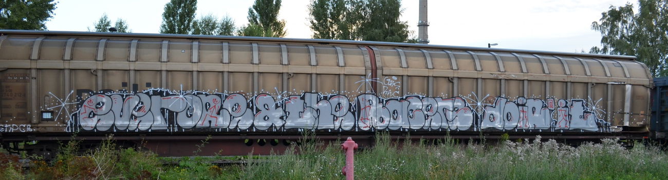 Graffiti Train - Photo by Hall3rOT