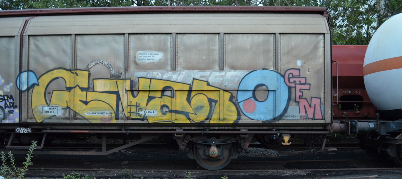 Graffiti Train - Photo by Hall3rOT - FR8